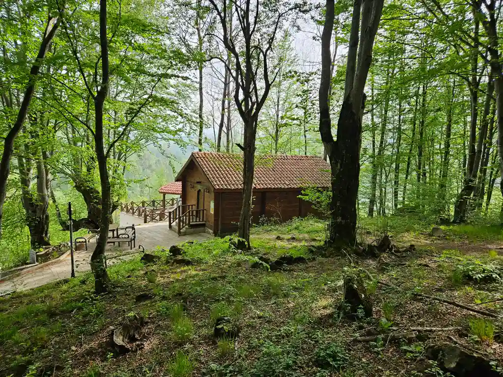 Melik-Mehemmed-Gazi-Türbesi-Ordu-Türbeleri-Evliyaları-2