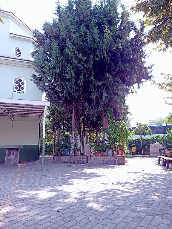 Veysel-Karani-Türbesi-Osmangazi-Bursa-Türbeleri-Evliyaları-4