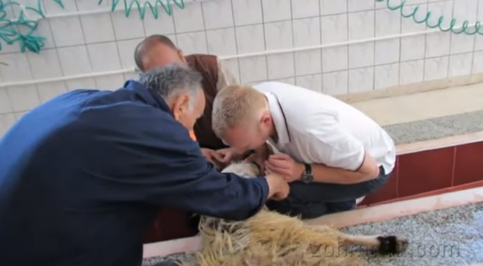 pir-zohre-ana-mucizeleri-2